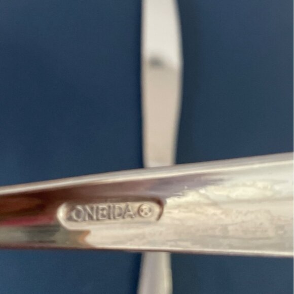 Vtg Oneida Satin Bristol Everdale Salad Dessert Fork Dinner Knife Flatware Set - Picture 4 of 8